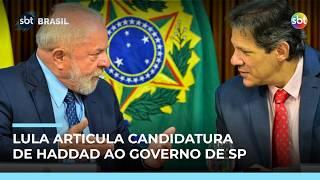 Lula tenta convencer Haddad a disputar o Governo de São Paulo