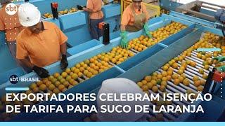 Tarifaço de Trump não atinge suco de laranja e protege 43% das exportações brasileiras | #SBTBrasil