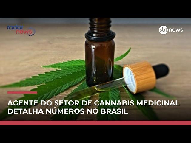 Mercado de cannabis medicinal cresce e bate recorde no Brasil