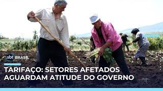 Setores afetados por tarifaço aguardam medidas de minimização dos impactos | #SBTBrasil