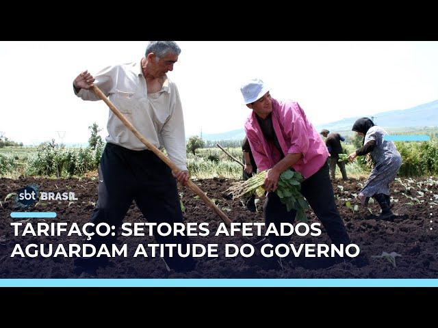 Setores afetados por tarifaço aguardam medidas de minimização dos impactos | #SBTBrasil
