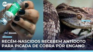 Hospital erra e aplica antídoto para picada de cobra no lugar de vacina em 11 bebês | #SBTBrasil