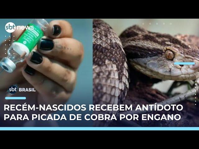 Hospital erra e aplica antídoto para picada de cobra no lugar de vacina em 11 bebês | #SBTBrasil