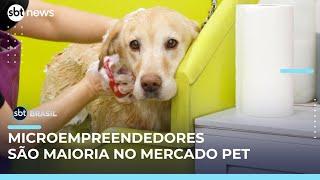 Mercado pet cresce e microempreendedores dominam setor com novidades em São Paulo | #SBTBrasil 