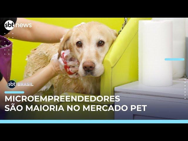 Mercado pet cresce e microempreendedores dominam setor com novidades em São Paulo | #SBTBrasil 