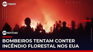 Incêndios florestais destroem o Grand Canyon nos Estados Unidos | #SBTNotícias
