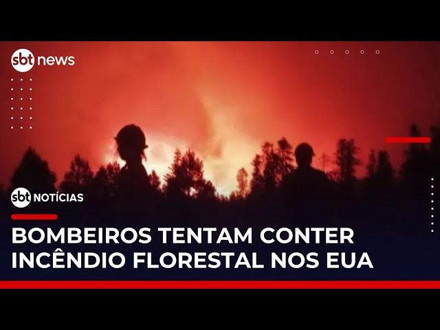 Incêndios florestais destroem o Grand Canyon nos Estados Unidos | #SBTNotícias