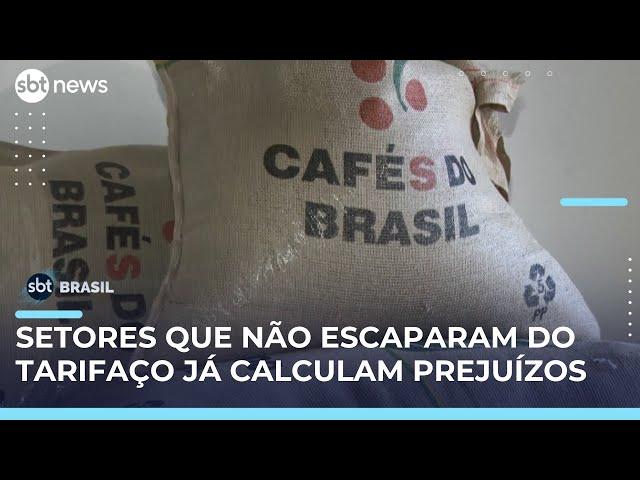 Setores do café, carnes e frutas não escapam do tarifaço e já calculam prejuízos | #SBTBrasil