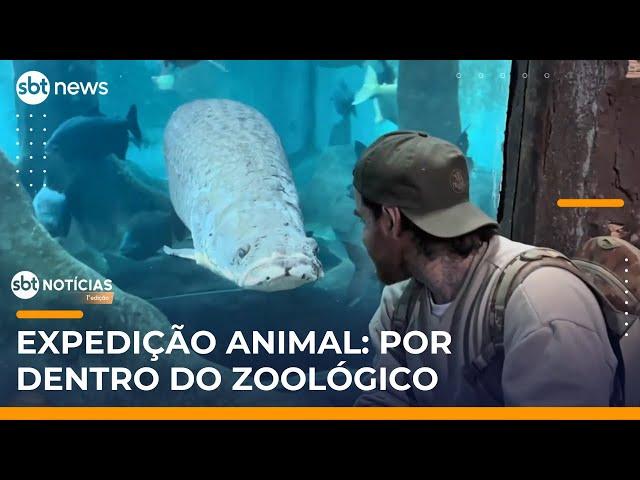 Expedição Animal: Veja bastidores de zoológico com espécies raras e cuidados especiais |#SBTNotícias