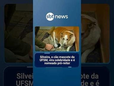 Silveira, o cão mascote da UFSM, vira celebridade e é nomeado pró-reitor