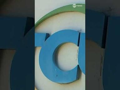 Exclusivo: Vital do Rêgo Filho, presidente do TCU fala sobre o caso Master | #NewsManhã