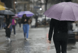 imagem da notícia Pancadas de chuva voltam ao Centro-Sul do país nesta sexta; veja a previsão