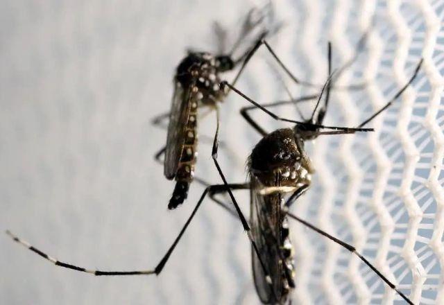 Rio de Janeiro confirma duas novas mortes por febre oropouche