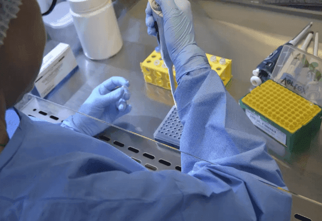 OMS lança primeiras diretrizes globais para tratar infertilidade; SUS oferece atendimento limitado