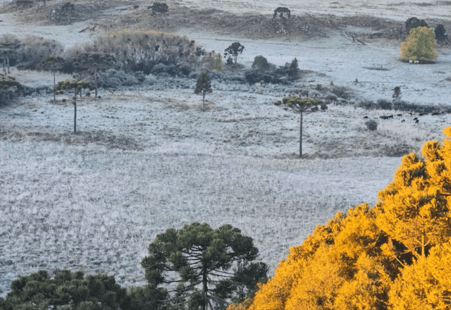 Frio intenso antecipa inverno no Sul e derruba temperaturas abaixo de zero em Santa Catarina