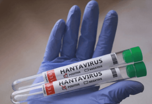Rio Grande do Sul registra dois casos de hantavirose em 2026; um paciente morreu