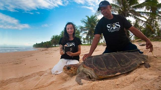 Plataforma de ecoturismo PlanetaEXO destaca 10 projetos de conservação no Brasil; veja quais são