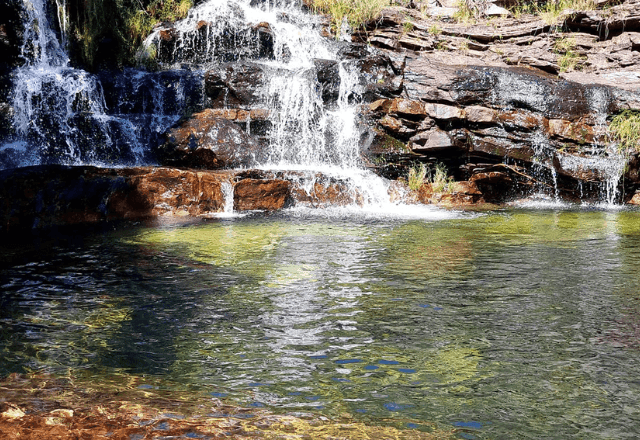 Criança de 8 anos é atacada por onça-parda na Chapada dos Veadeiros (GO)