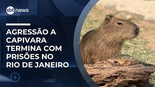 Homens são presos por agredir capivara no Rio de Janeiro | #NewsSábado Homens são presos por agredir capivara no Rio de Janeiro | #NewsSábado