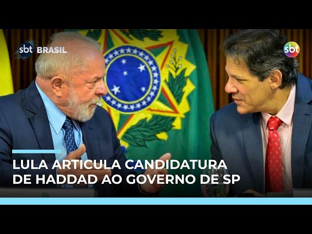 Lula tenta convencer Haddad a disputar o Governo de São Paulo Lula tenta convencer Haddad a disputar o Governo de São Paulo