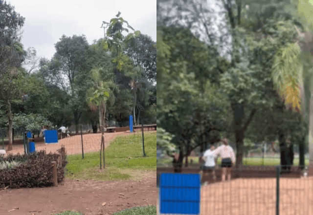 VÍDEO: dono de pitbull agride casal em área para cães no parque Ibirapuera, em SP