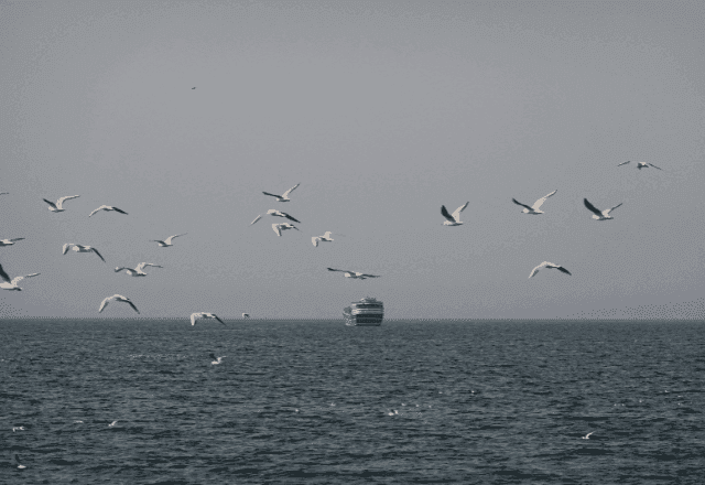 Guerra contra Irã ameaça atingir de forma prolongada os mercados globais de energia