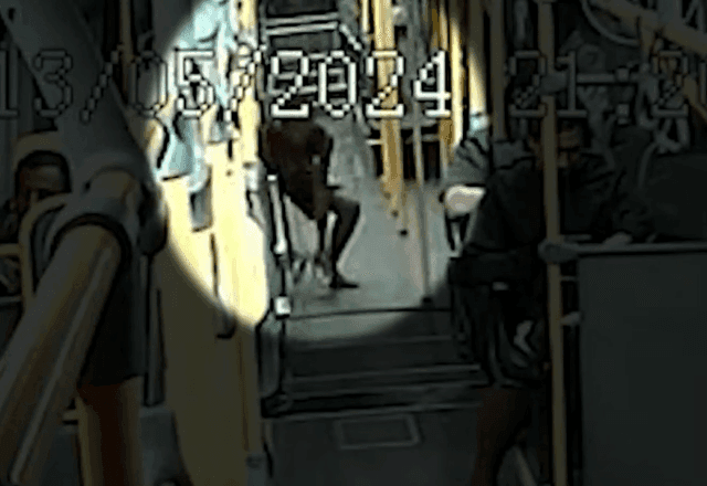 Um celular é roubado a cada meia hora no transporte público de SP