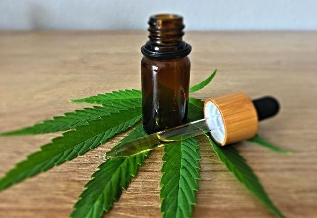 Anvisa aprova cultivo de Cannabis para fins medicinais e farmacêuticos no Brasil