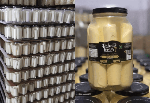 Anvisa proíbe comercialização de marca de palmito em conserva