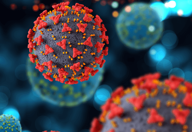 Covid 19: Nova variante Cicada não indica tendência de maior gravidade, diz especialista