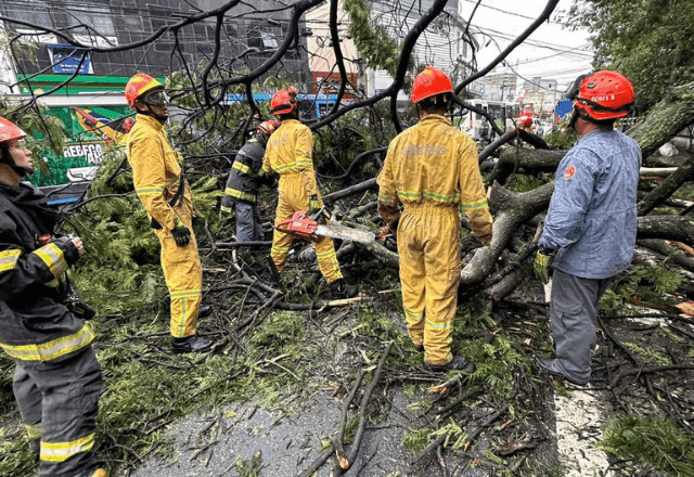 Queda de árvore mata mulher e deixa outra ferida em Guarulhos (SP) Queda de árvore mata mulher e deixa outra ferida em Guarulhos (SP)